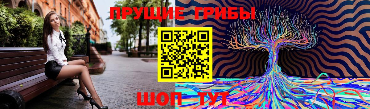 Псилоцибиновые грибы прущие грибы  Вход с VPN  Псилоцибиновые грибы ЛСД  где купить наркоту  Симферополь 